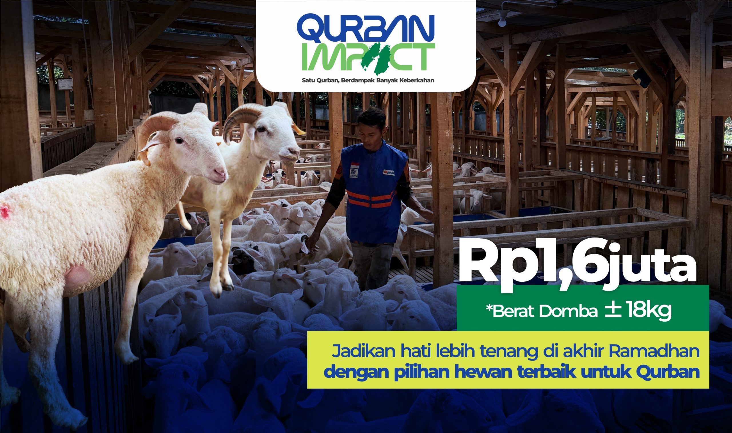 Qurban Domba / Kambing Promo