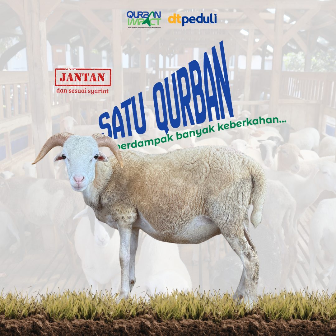 Domba / Kambing — Paket Istimewa