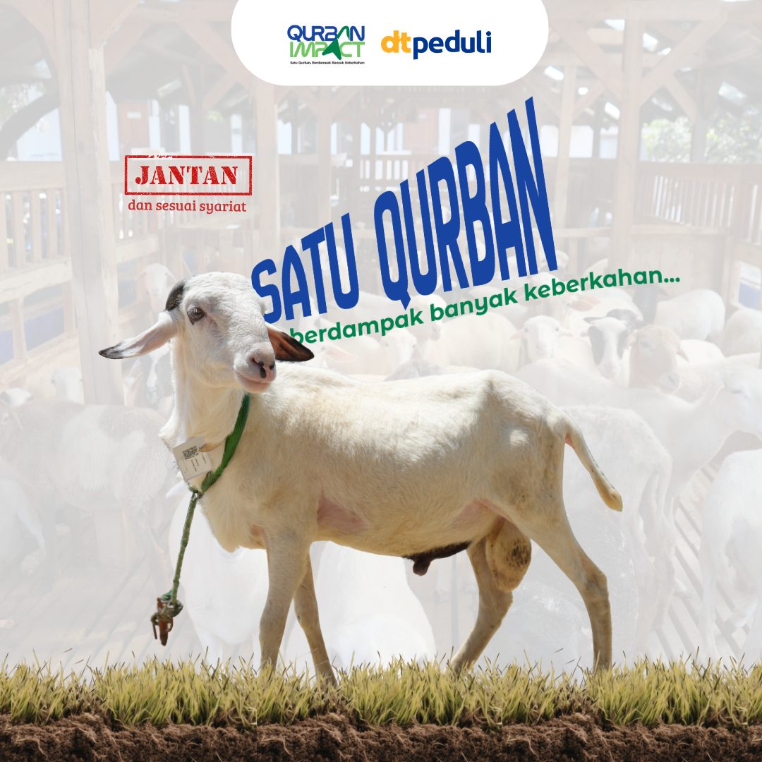 Domba / Kambing — Paket Standard