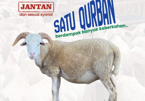 Kambing — Rohingya