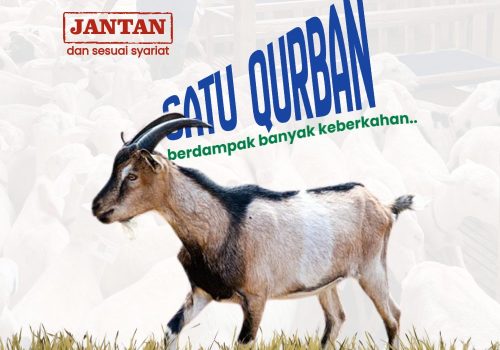Kambing — Yaman