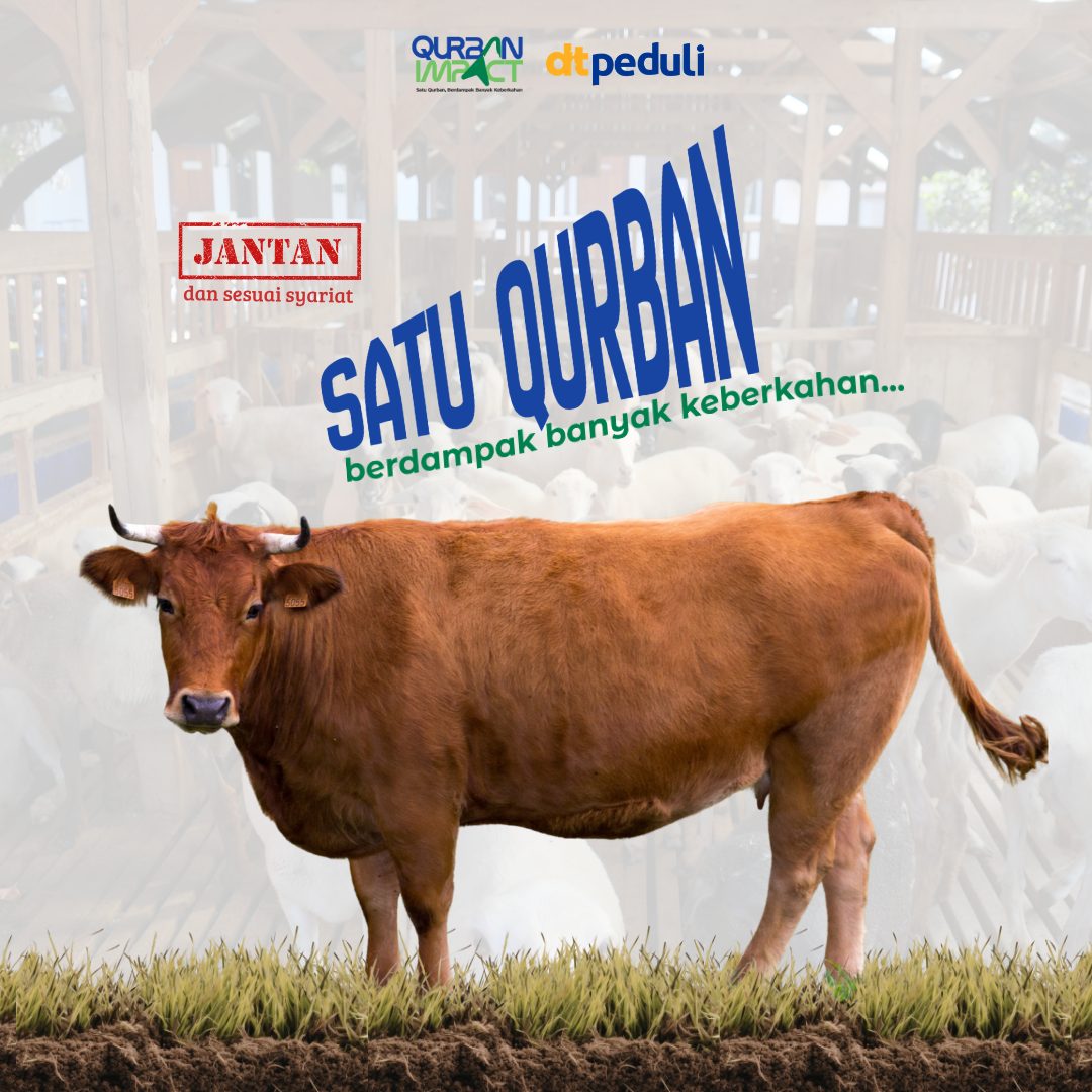 Sapi — Paket Istimewa