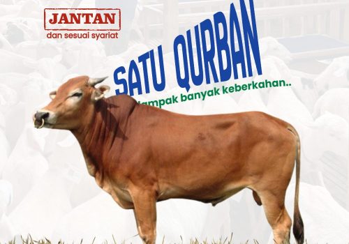 Sapi — Papua Nugini