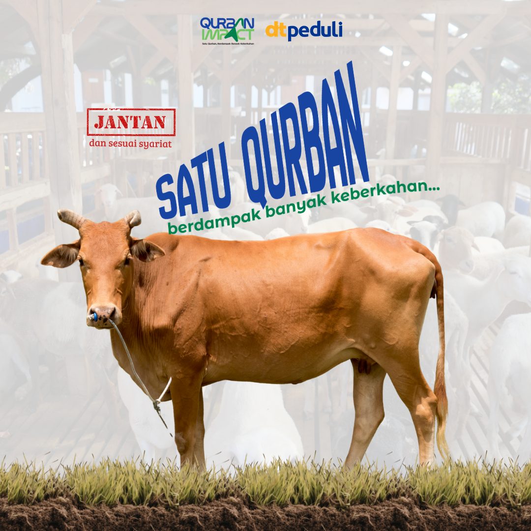 Sapi — Paket Standard