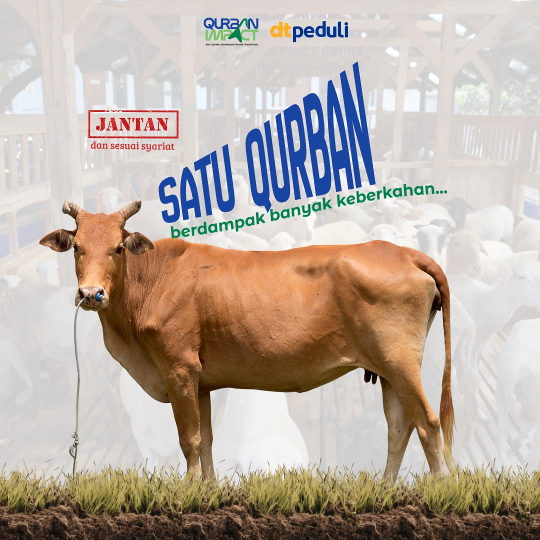 Sapi — Paket Promo