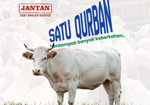 Sapi — Yaman